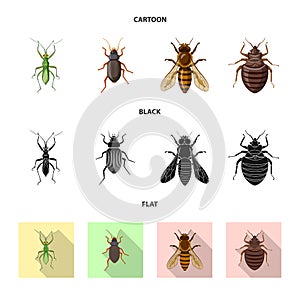 Vector illustration of insect and fly icon. Collection of insect and element stock vector illustration.