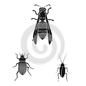 Vector illustration of insect and fly icon. Collection of insect and element stock vector illustration.