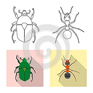 Vector illustration of insect and fly icon. Set of insect and element stock symbol for web.