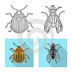 Vector illustration of insect and fly icon. Set of insect and element stock symbol for web.