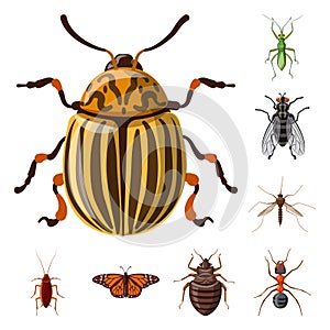 Vector illustration of insect and fly icon. Set of insect and element stock vector illustration.