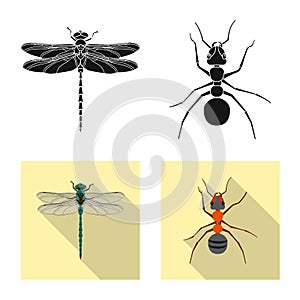 Vector illustration of insect and fly icon. Set of insect and element stock vector illustration.