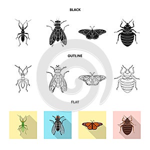 Vector illustration of insect and fly icon. Set of insect and element stock vector illustration.