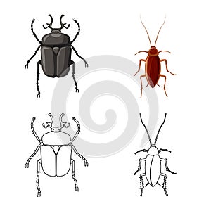 Vector illustration of insect and fly icon. Set of insect and element stock vector illustration.