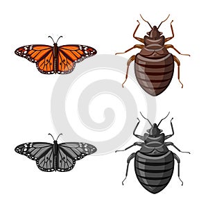 Vector illustration of insect and fly icon. Set of insect and element stock vector illustration.