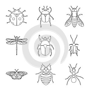 Vector illustration of insect and fly logo. Collection of insect and element vector icon for stock.