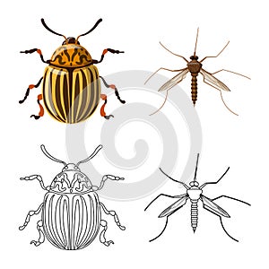 Vector illustration of insect and fly logo. Set of insect and element stock symbol for web.