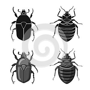 Vector illustration of insect and fly logo. Set of insect and element vector icon for stock.