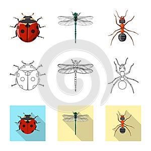 Vector illustration of insect and fly logo. Set of insect and element vector icon for stock.