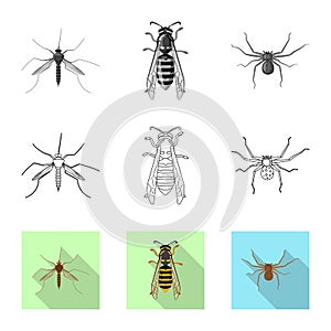 Vector illustration of insect and fly logo. Set of insect and element vector icon for stock.