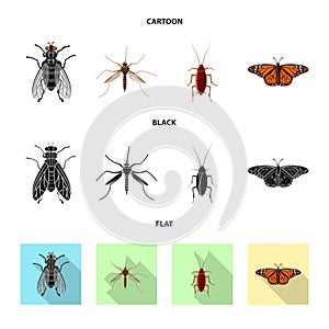 Vector illustration of insect and fly logo. Set of insect and element vector icon for stock.