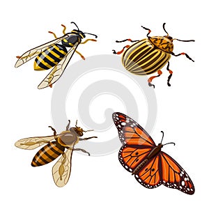 Vector illustration of insect and fly logo. Set of insect and entomology stock symbol for web.