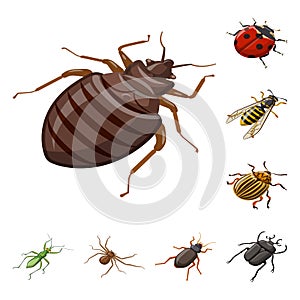 Vector illustration of insect and fly logo. Set of insect and entomology stock symbol for web.