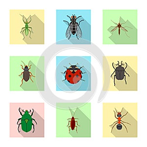 Vector illustration of insect and fly sign. Set of insect and element vector icon for stock.