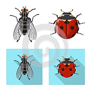 Vector illustration of insect and fly sign. Set of insect and element vector icon for stock.