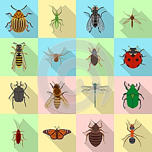 Vector illustration of insect and fly symbol. Collection of insect and element vector icon for stock.