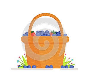 Vector illustration of an isolated blueberry basket.