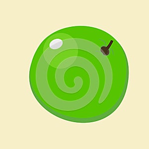 Vector illustration of isolated green guava