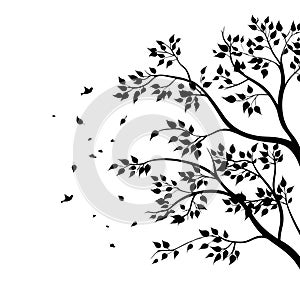 Vector illustration of isolated, realistic tree branch with leaves and two birds, in black color, on white background