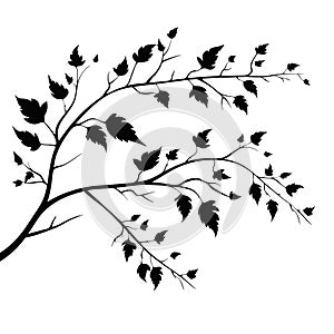 Vector illustration of isolated, realistic tree branch with leaves and two birds, in black color, on white background