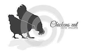 Isolated silhouette of Chickens peck feed on white background. photo