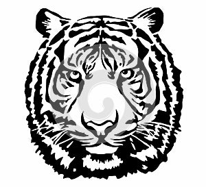 Vector illustration isolated on white. Tiger head. Black and white outline. Contrasting stencil-style tiger muzzle