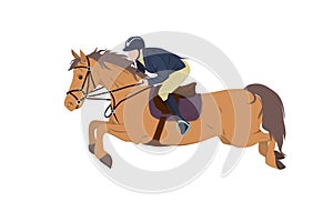 vector illustration of a jockey on a horse in a high jump. The theme of equestrian sports, training and animal husbandry.