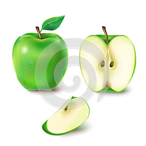 Vector illustration of a juicy green apple.
