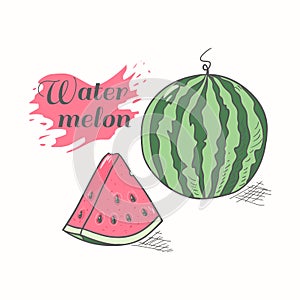 Vector illustration of juicy watermelon