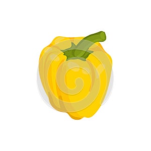 Vector illustration with juicy yellow sweet pepper. One vegetable isolated on a white background. Design packaging, farm products