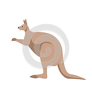 vector illustration , kangaroo , flat style ,profile