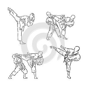 the vector illustration of the karate fighter