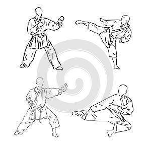 the vector illustration of the karate fighter
