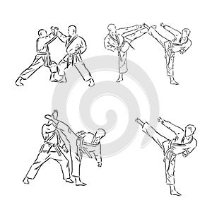 the vector illustration of the karate fighter