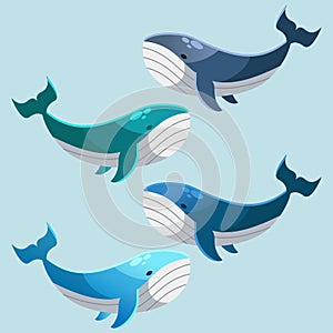 Vector illustration of kawaii cute whale characters. set of characters. Emoticon, mascot, cartoon character of whale, isolated on