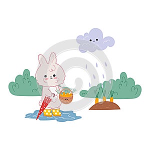 Vector illustration of kawaii rabbit in rubber boots harvesting carrots.