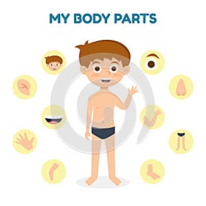 Vector illustration of a Kid Boy with Different Parts of the Body for Teaching. Vector illustration cartoon style.