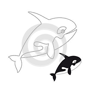 Vector illustration of killer whale for coloring book