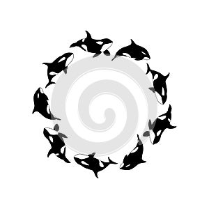 Vector illustration killer whales swimming in a circle. Marine animal Orca round frame