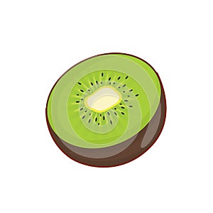 Vector illustration of kiwi half