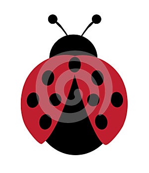 Vector Illustration of a Ladybug