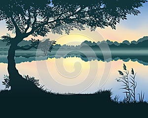 Vector illustration of the lake