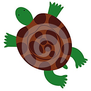 Vector illustration of a land turtle in a flat style