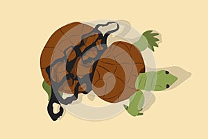 Vector illustration of land turtle stuck in plastic net and grew up not being able to release from it. Turtle shell