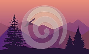 Vector illustration of landscape in north areas, evening dusk with pine forest on the rocks. Scenic view of meadow with