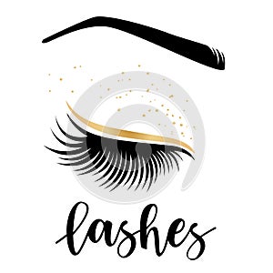 Vector illustration of lashes