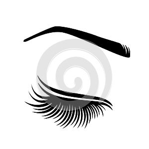 Vector illustration of lashes