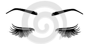 Vector illustration of lashes and brow. photo