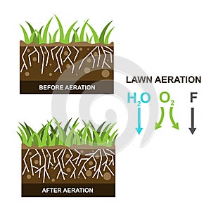 Vector illustration with lawn aeration