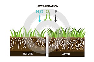 Vector illustration with lawn aeration photo